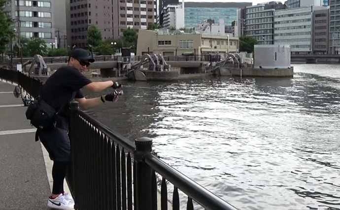 「都市河川のチニングに最適！」オリムピック『シルベラード』でキビレを攻略【福岡】