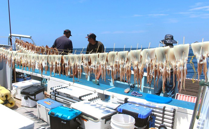 高性能リチウムイオンバッテリーがスルメイカ釣りを制す！鳥羽沖でスルメ船上干しがズラリ【三重】
