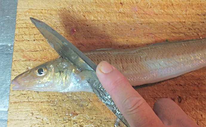 釣魚で作る「酒の肴」レシピ：落ちギスの梅肉和え　梅肉とワサビが絶妙