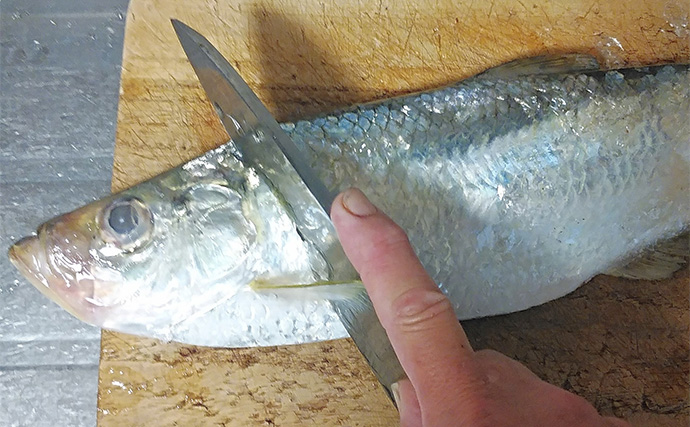 釣った魚で作る「ひと手間揚げ物」レシピ：ヒラの揚げ身　おろしショウガをきかせて