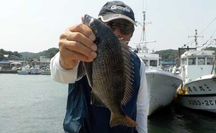 師崎港のウキダンゴ釣りで35cmのクロダイを手中【愛知】無反応からのワンチャンスをモノにする