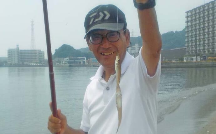 「アマモ狙いで本命釣れた！」久里浜海岸のサーフ投げキス釣りでシロギスをキャッチ【神奈川】