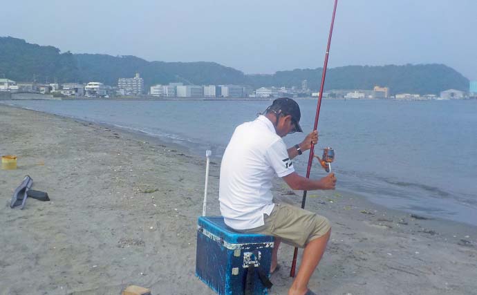 「アマモ狙いで本命釣れた！」久里浜海岸のサーフ投げキス釣りでシロギスをキャッチ【神奈川】