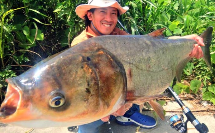 真夏の荒川でハクレン7尾と爆釣【埼玉】想定以上の高活性でエサ打つ度にアタリが連発！