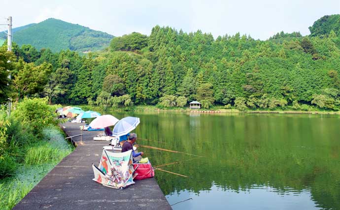 今週のヘラブナ推薦釣り場2025【静岡県・野守の池】