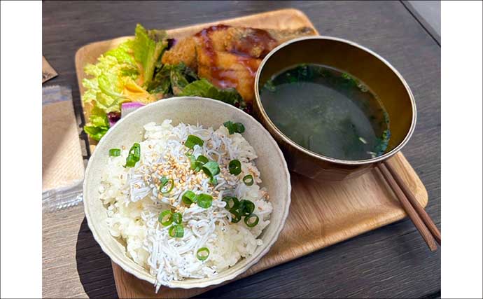 初心者歓迎のシロギス船釣り体験会【神奈川】本命続々ヒット＆しらす丼プレートで大満足