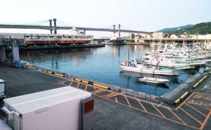 「周辺スポットが充実！」観光やグルメも楽しめる釣り場『小田原漁港（早川港）』を紹介【神奈川】