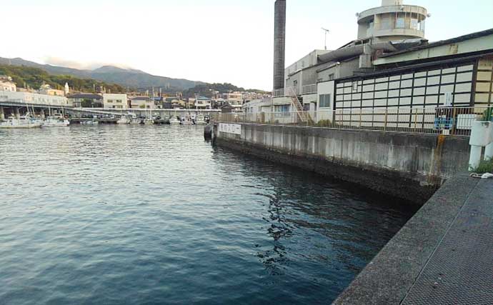 「周辺スポットが充実！」観光やグルメも楽しめる釣り場『小田原漁港（早川港）』を紹介【神奈川】
