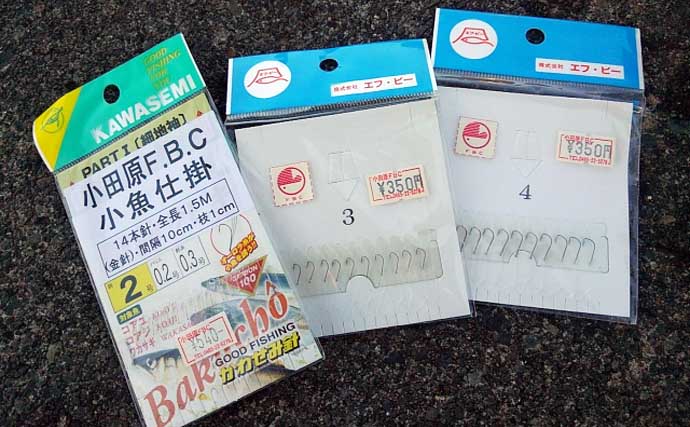 「周辺スポットが充実！」観光やグルメも楽しめる釣り場『小田原漁港（早川港）』を紹介【神奈川】