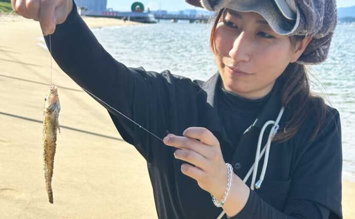 「尺ギスヒット！」西戸崎のちょい投げ釣りで30cmキス＆ガザミをキャッチ【福岡】