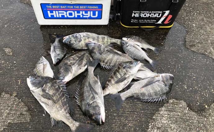 「夏はフカセでチヌ数釣りのチャンス！」40cm超え含みチヌ12枚をキャッチ【和歌山】