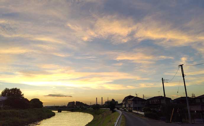 「大量のイナッコに大苦戦！」村田川シーバスゲームで良型含みボラ連発で意外と満足？【千葉】