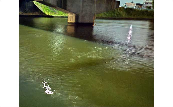 「大量のイナッコに大苦戦！」村田川シーバスゲームで良型含みボラ連発で意外と満足？【千葉】