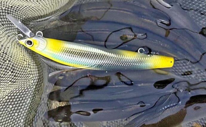 相模川のアユルアー釣りで9尾キャッチ【神奈川】圏央道高架下の瀬攻めが奏功