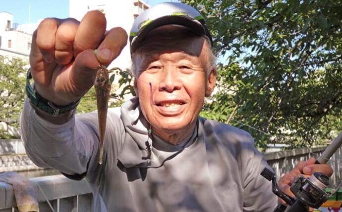大横川のハゼ釣りで8〜9cm級4尾をキャッチ【東京】仕掛けトラブルで数伸びず