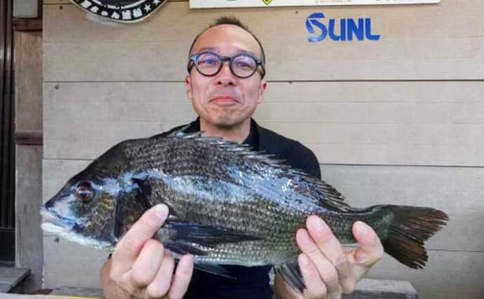 【カカリ釣り釣果速報】カラス貝をエサに年無しクロダイ52cm好捕！サナギエサで50匹越えの釣り人も（三重）