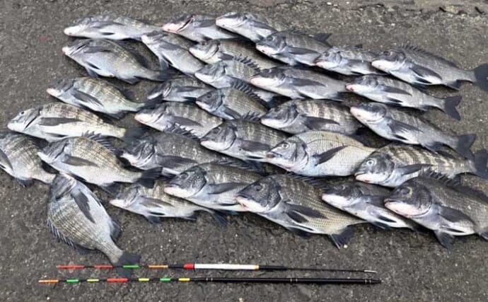 「クロダイ攻略！」紀州発祥「ウキダンゴ釣り」5ステップ完全ガイド