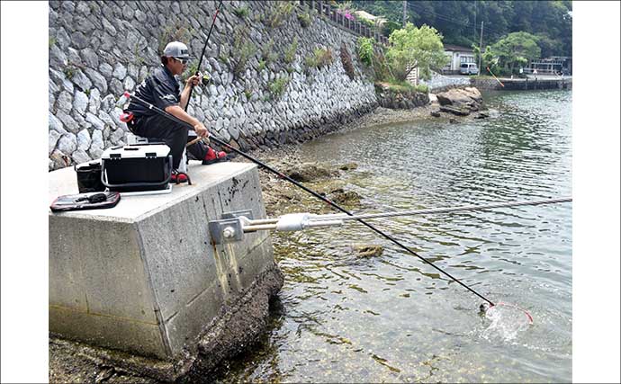 「クロダイ攻略！」紀州発祥「ウキダンゴ釣り」5ステップ完全ガイド