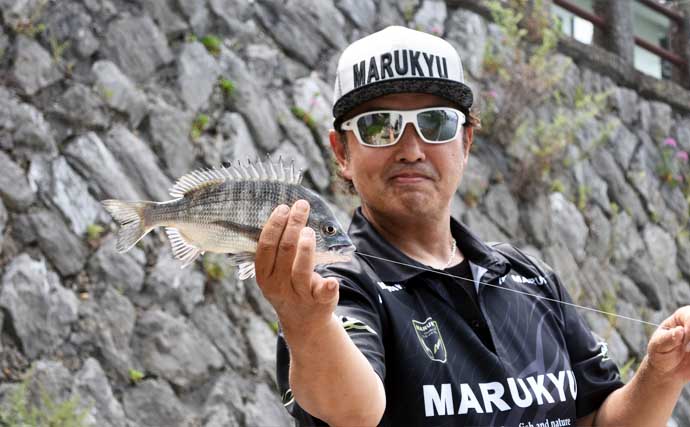 「クロダイ攻略！」紀州発祥「ウキダンゴ釣り」5ステップ完全ガイド