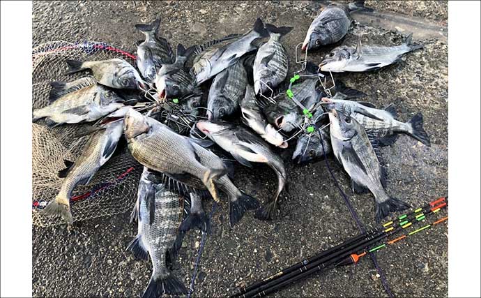 「クロダイ攻略！」紀州発祥「ウキダンゴ釣り」5ステップ完全ガイド