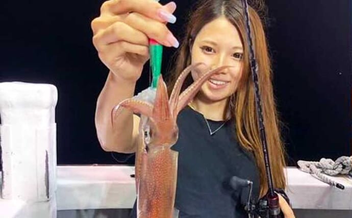 【沖釣り釣果速報】小浜沖のマイカ釣りで船中878匹をキャッチ！船中トップは70匹（北陸）