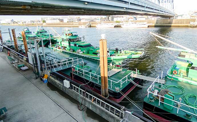 東京湾の船キス釣りで72尾を達成【千葉・吉野屋】フグに仕掛けを消耗しつつも入れ食い堪能