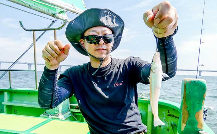 東京湾の船キス釣りで72尾を達成【千葉・吉野屋】フグに仕掛けを消耗しつつも入れ食い堪能