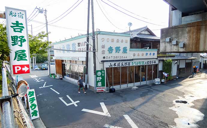 東京湾の船キス釣りで72尾を達成【千葉・吉野屋】フグに仕掛けを消耗しつつも入れ食い堪能