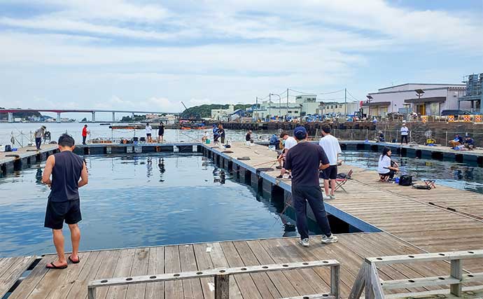 海上釣り堀で50cm級マダイ＆4.8kgヤンバルスギを手中【神奈川】手厚いサポートで大物続々