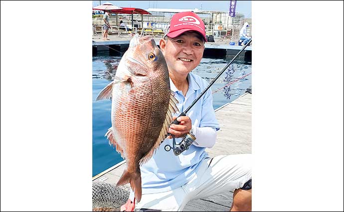 海上釣り堀で50cm級マダイ＆4.8kgヤンバルスギを手中【神奈川】手厚いサポートで大物続々