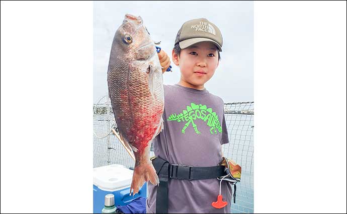 海上釣り堀で50cm級マダイ＆4.8kgヤンバルスギを手中【神奈川】手厚いサポートで大物続々