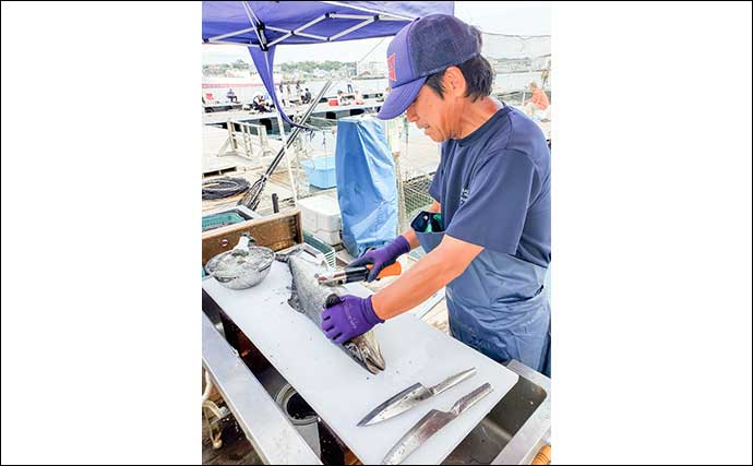 海上釣り堀で50cm級マダイ＆4.8kgヤンバルスギを手中【神奈川】手厚いサポートで大物続々