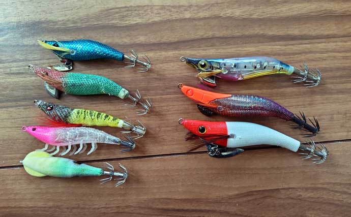 越前沖の夜焚きイカ釣りでマイカが爆釣【福井】軽い鉛スッテが威力を発揮