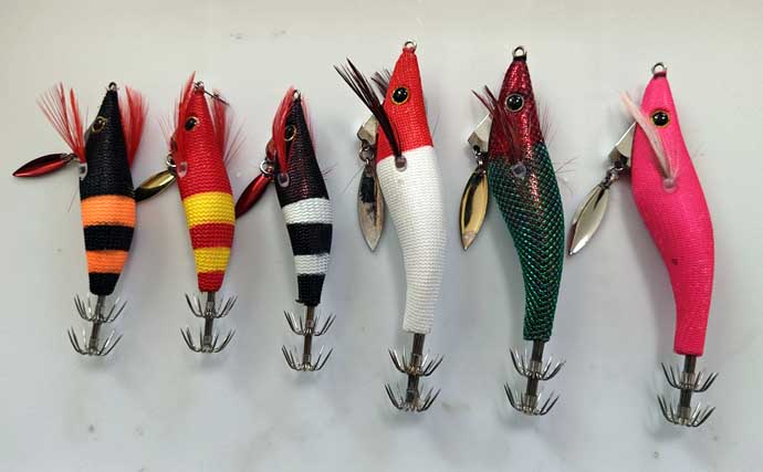 越前沖の夜焚きイカ釣りでマイカが爆釣【福井】軽い鉛スッテが威力を発揮