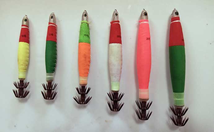 越前沖の夜焚きイカ釣りでマイカが爆釣【福井】軽い鉛スッテが威力を発揮