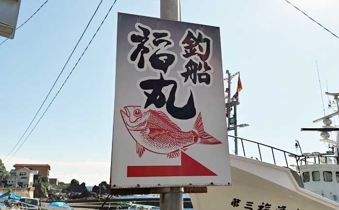 越前沖の夜焚きイカ釣りでマイカが爆釣【福井】軽い鉛スッテが威力を発揮