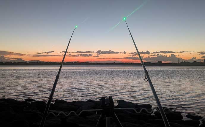 宮川の投げ釣りで本命ウナギをキャッチ！【三重】エサのカメジャコ＆テナガエビが活躍
