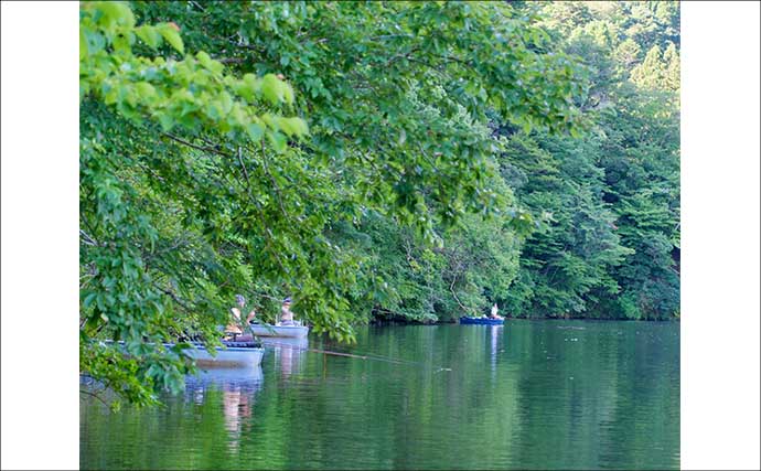 吉田康雄のザ・チャレンジへらぶな【3年目の挑戦in片倉ダム：第4回】