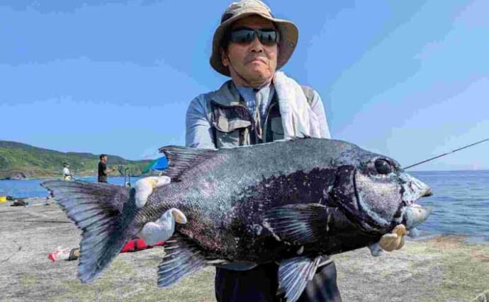 伊豆諸島・三宅島の堤防釣りで70cmクチジロをキャッチ！【東京】カニ餌に豪快ヒット