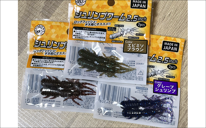 ネットで買った激安「スピナー」ルアーに想定外のバケモノカサゴがヒット！【浜名湖】