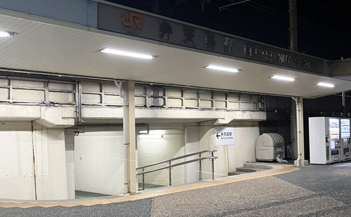 ネットで買った激安「スピナー」ルアーに想定外のバケモノカサゴがヒット！【浜名湖】