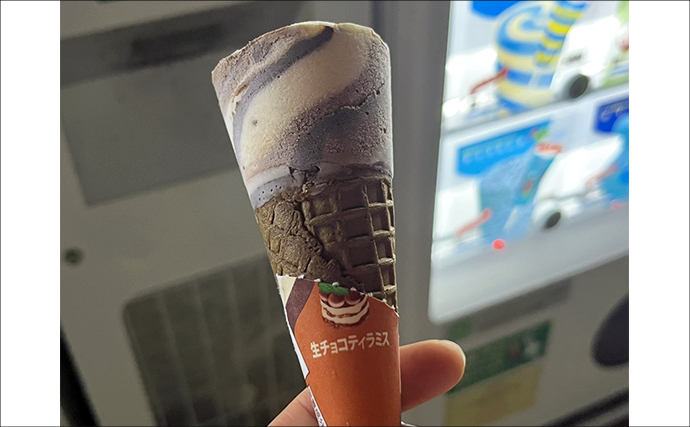 ネットで買った激安「スピナー」ルアーに想定外のバケモノカサゴがヒット！【浜名湖】