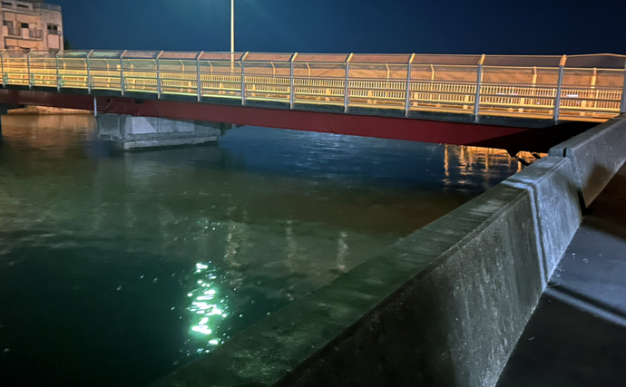 ネットで買った激安「スピナー」ルアーに想定外のバケモノカサゴがヒット！【浜名湖】