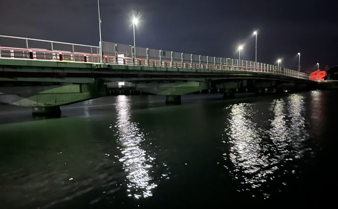 ネットで買った激安「スピナー」ルアーに想定外のバケモノカサゴがヒット！【浜名湖】