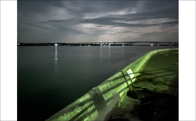 ネットで買った激安「スピナー」ルアーに想定外のバケモノカサゴがヒット！【浜名湖】