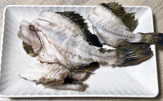 ネットで買った激安「スピナー」ルアーに想定外のバケモノカサゴがヒット！【浜名湖】