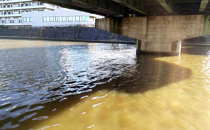 変わり種ルアーカラー【黒系と夜光色】でシーバスが釣れるわけ　濁りと光量が関係？