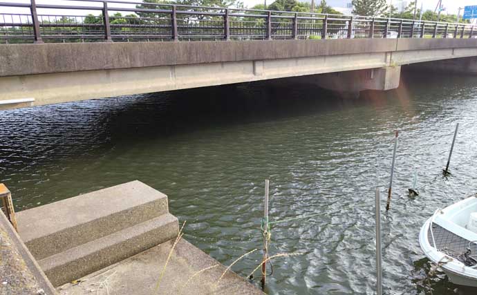 変わり種ルアーカラー【黒系と夜光色】でシーバスが釣れるわけ　濁りと光量が関係？