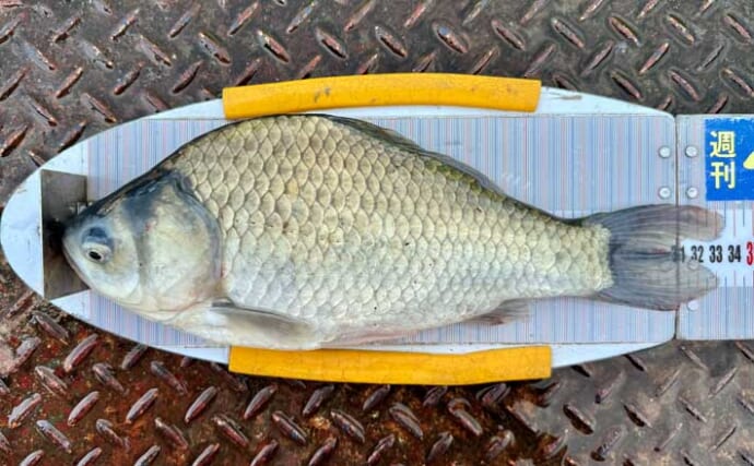 今週のヘラブナ推薦釣り場2025【群馬・神流湖】