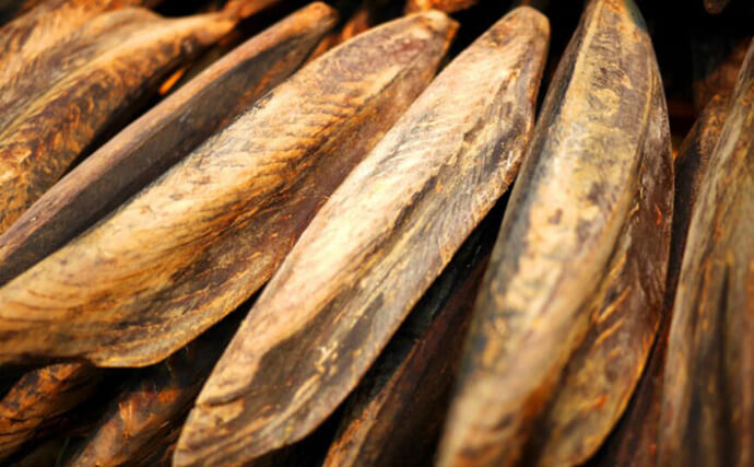 和食に欠かせない【かつお節の歴史】　カツオの身に旨味が凝縮される工程とは？